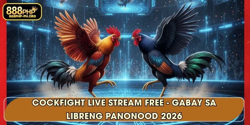 Cockfight live stream free - Gabay sa Libreng Panonood 2026