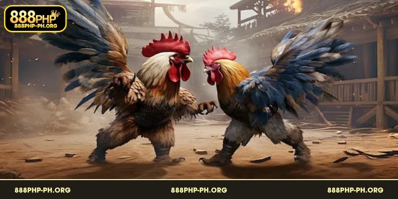 Gabay sa Maingat na Pagtaya para sa mga Sabungero