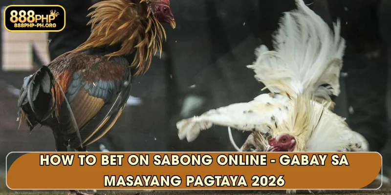 How to bet on Sabong online - Gabay sa Masayang Pagtaya 2026